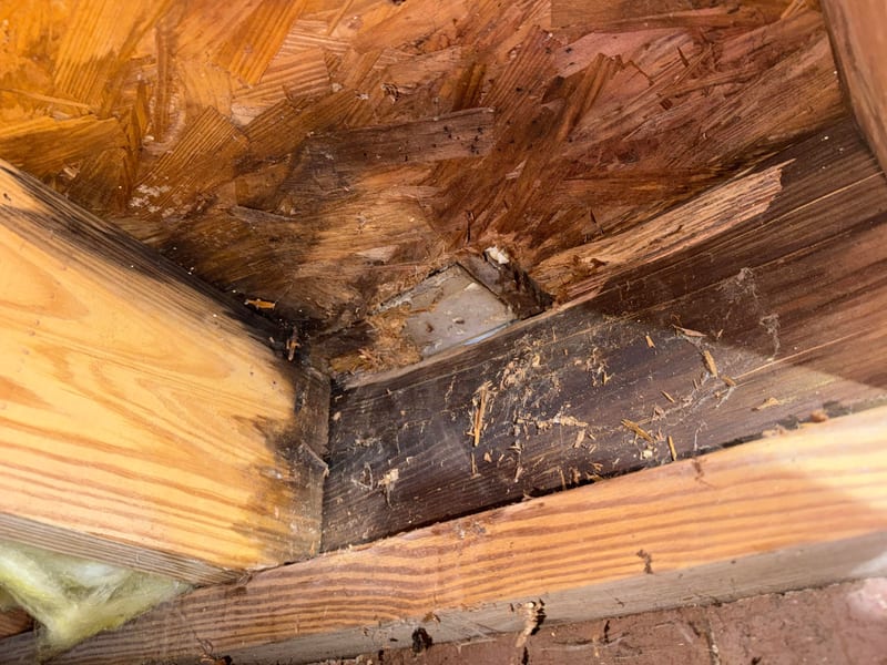 Carpentry and framing repair in progress